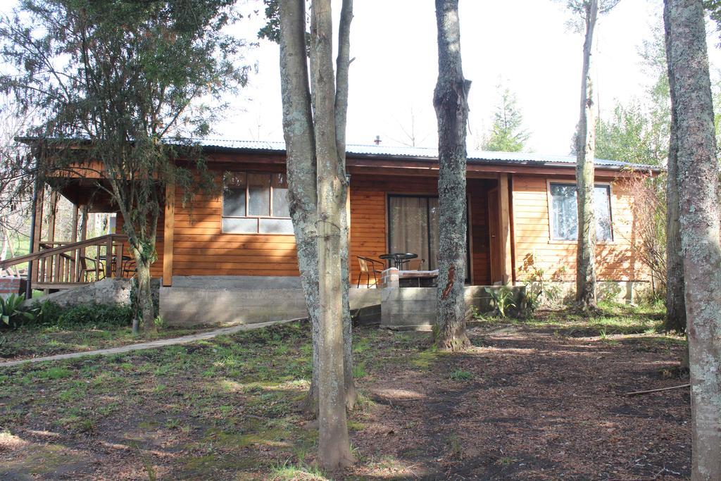 Apart Hotel Puchaley Lafquen Panguipulli Buitenkant foto